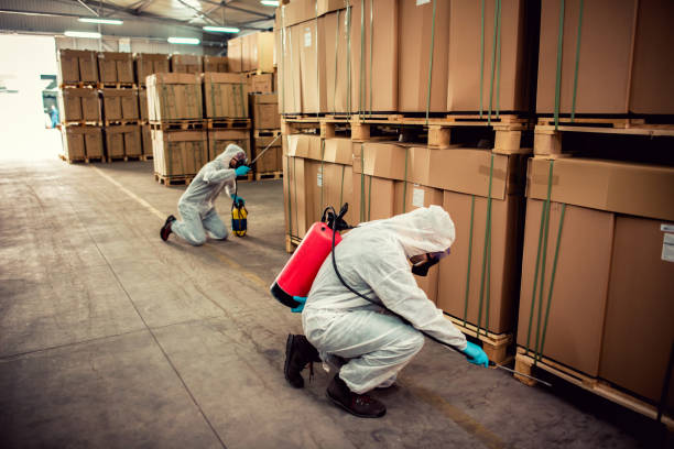 Best Residential Pest Control  in East Northport, NY