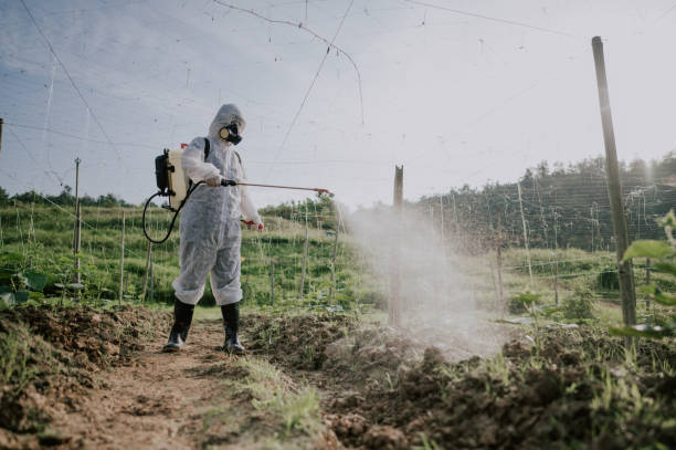Best Pest Prevention Services  in East Northport, NY