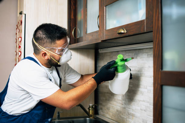 East Northport, NY Pest Control Company