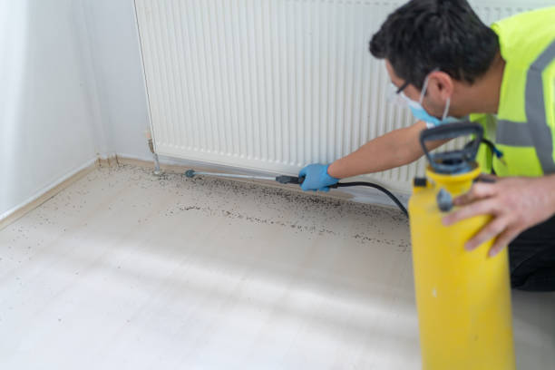 Best Wasp Removal Services  in East Northport, NY