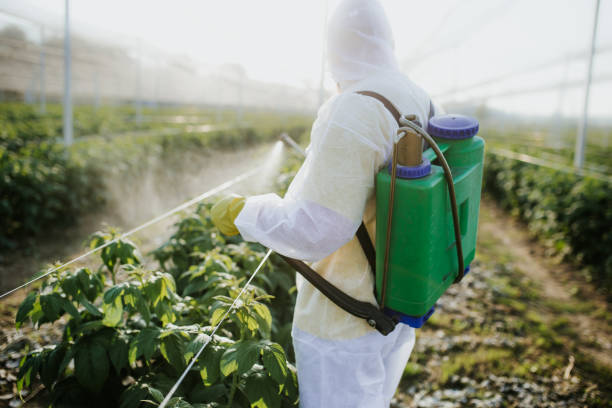 Best Pest Control Near Me in East Northport, NY